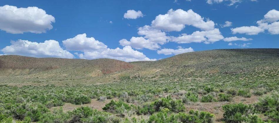 0.25 Acres for Sale in Crescent Valley, NV