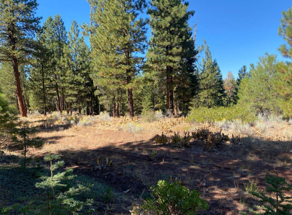 0.93 Acres for Sale in Alturas, CA