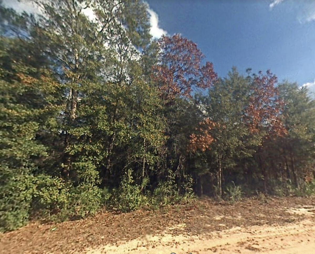0.76 Acres for Sale in Fountain, FL