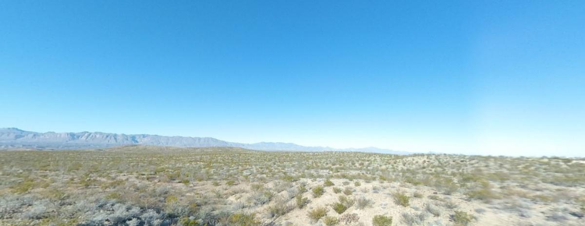 40 Acres for Sale in Ruidosa, TX