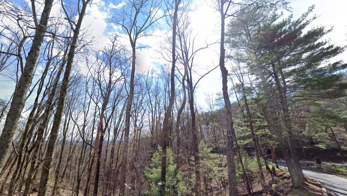 0.46 Acres for Sale in Jasper, GA