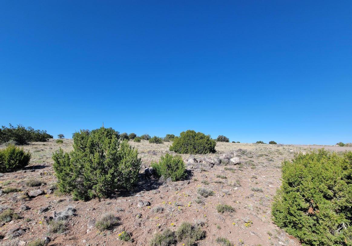 36.62 Acres for Sale in Concho, AZ