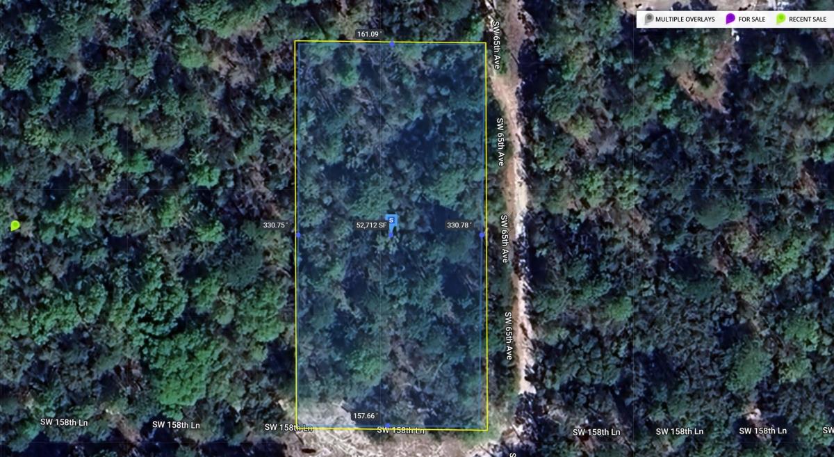 1.25 Acres for Sale in Dunnellon, FL