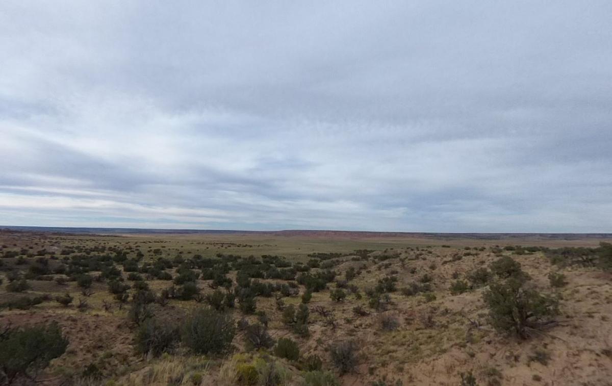 73.62 Acres for Sale in St. Johns, AZ