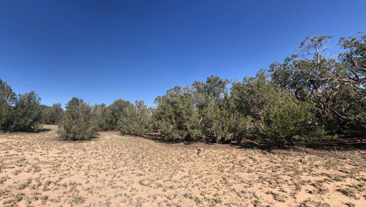 73.62 Acres for Sale in St. Johns, AZ
