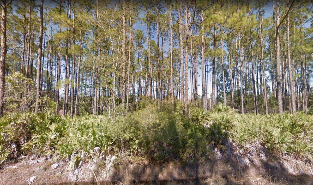 0.22 Acres for Sale in Interlachen, FL