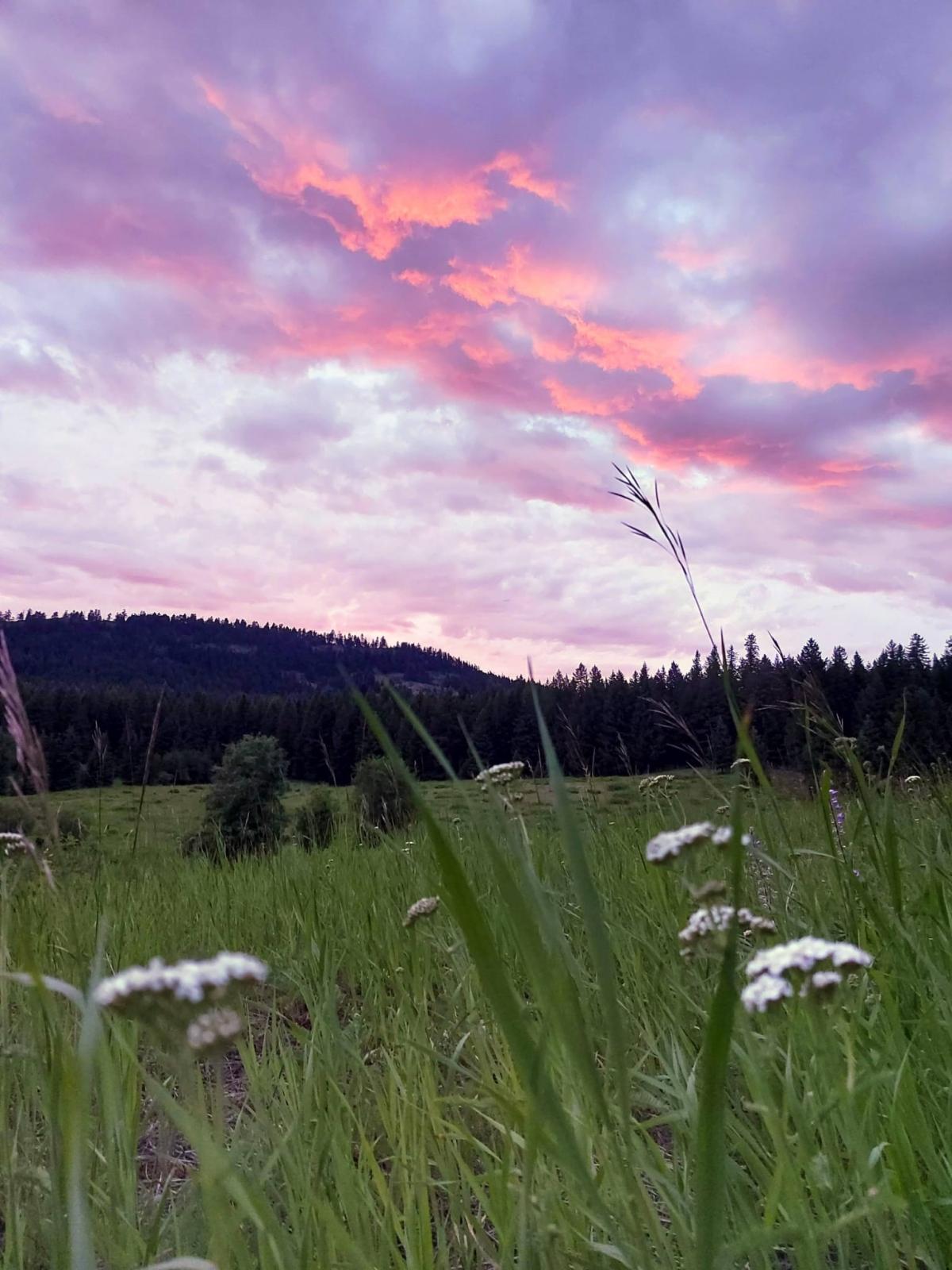 267 Acres | Private Lake | Private Location | Rental income