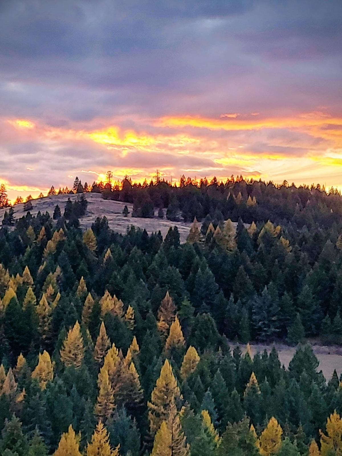 267 Acres | Private Lake | Private Location | Rental income