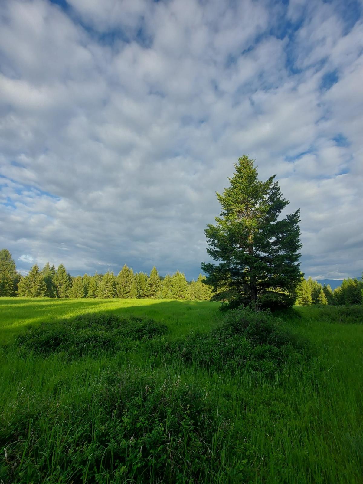 267 Acres | Private Lake | Private Location | Rental income