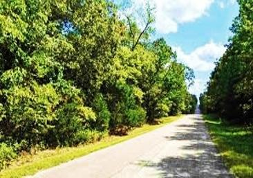 0.23 Acres for Sale in Horseshoe Bend, Arkansas