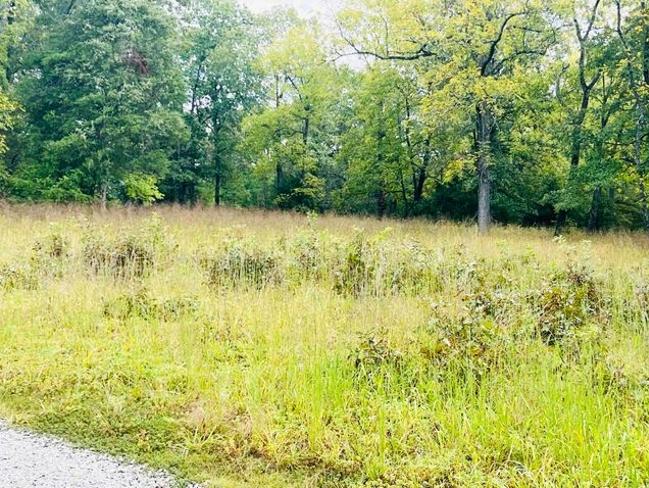 0.23 Acres for Sale in Horseshoe Bend, Arkansas