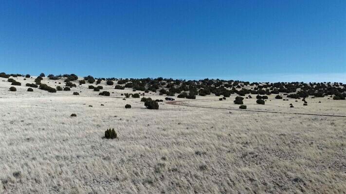 1.07 Acres for Sale in Concho, Arizona