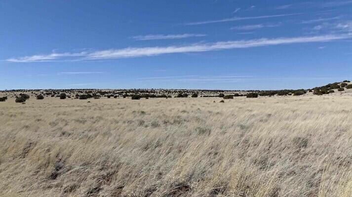 1.07 Acres for Sale in Concho, Arizona