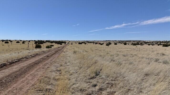 1.07 Acres for Sale in Concho, Arizona