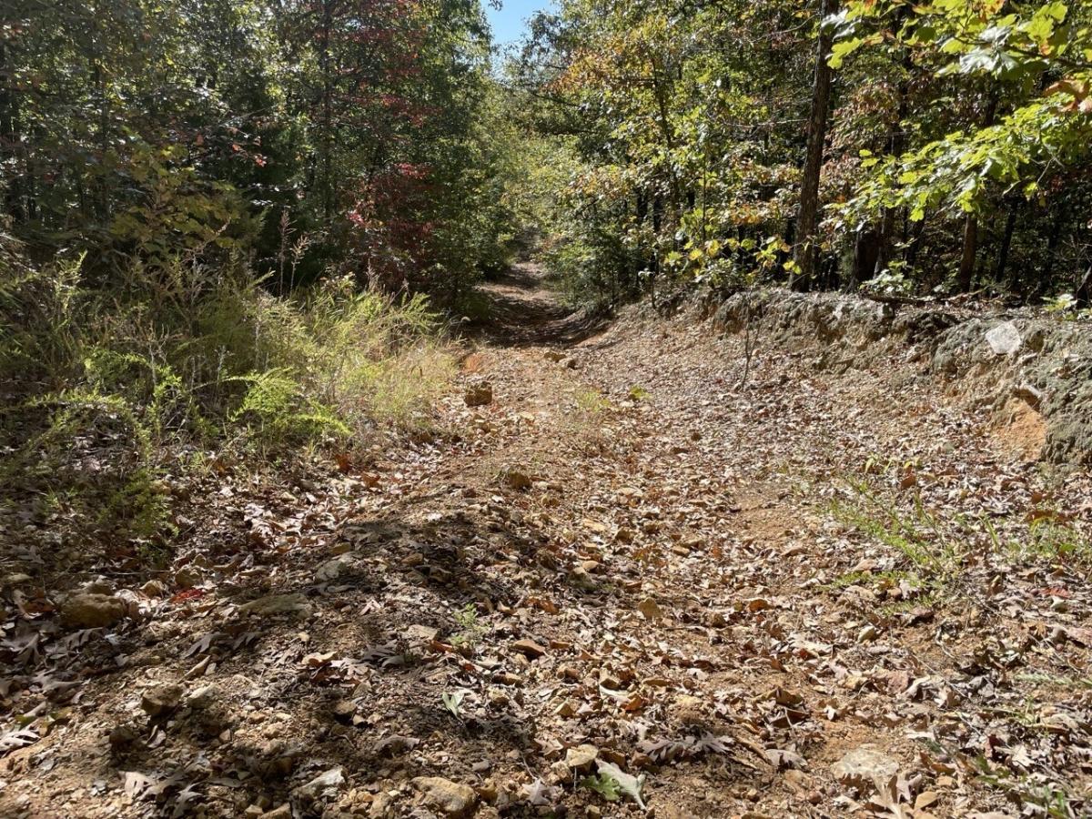 0.37 Acres for Sale in Williford, Arkansas