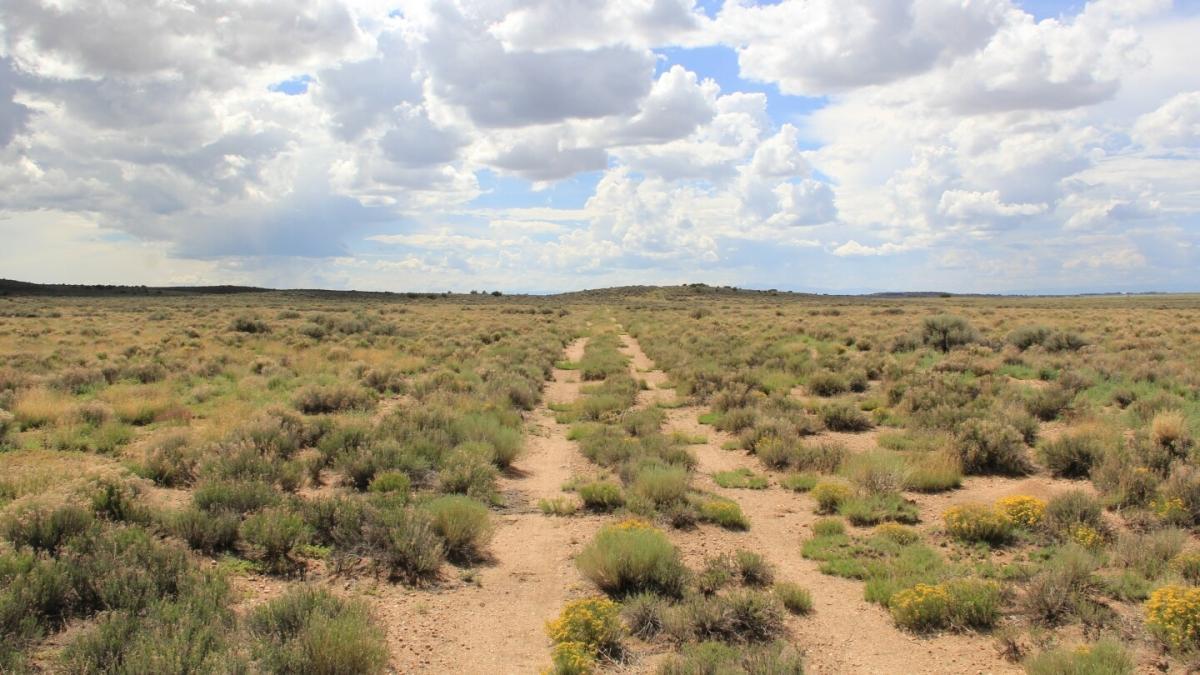 5 Acres for Sale in Blanca, CO