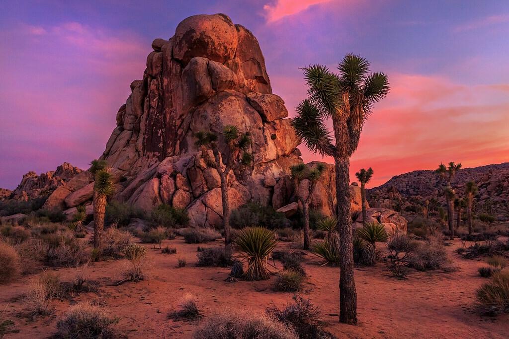 5.00 Acres for Sale in Lucerne Valley, California