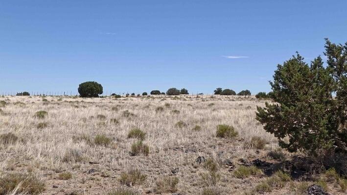 1 Acres for Sale in Concho, Arizona