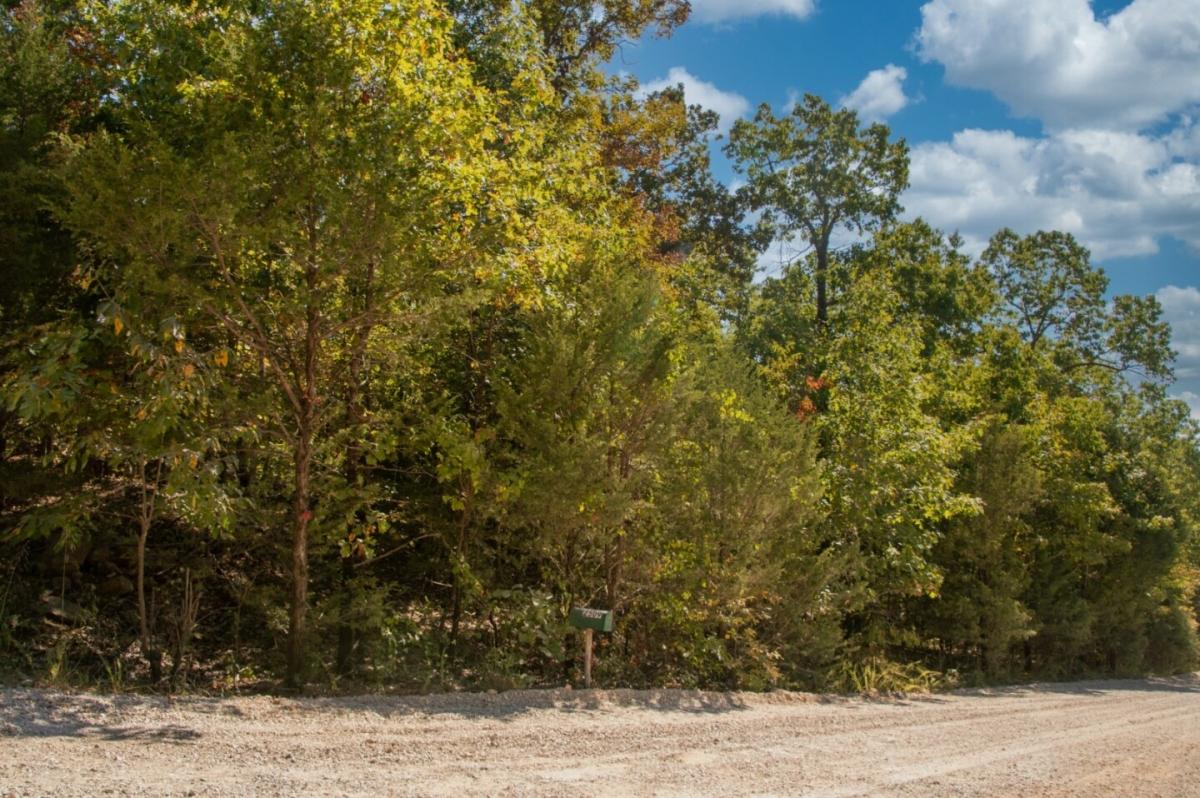 0.42 Acres for Sale in Horseshoe Bend, Arkansas