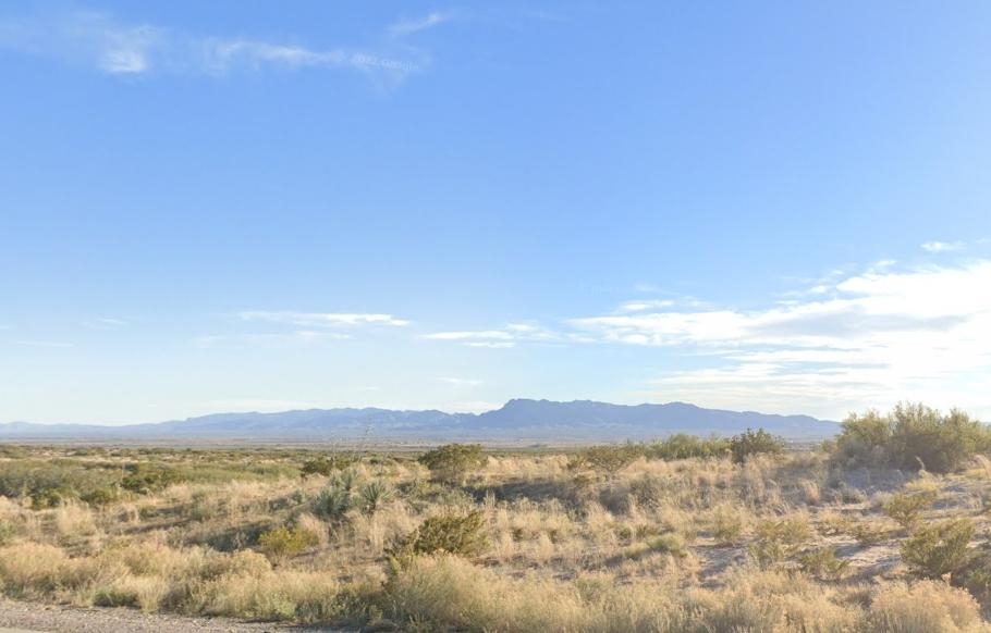 20 Acres for Sale in Fort Hancock, TX