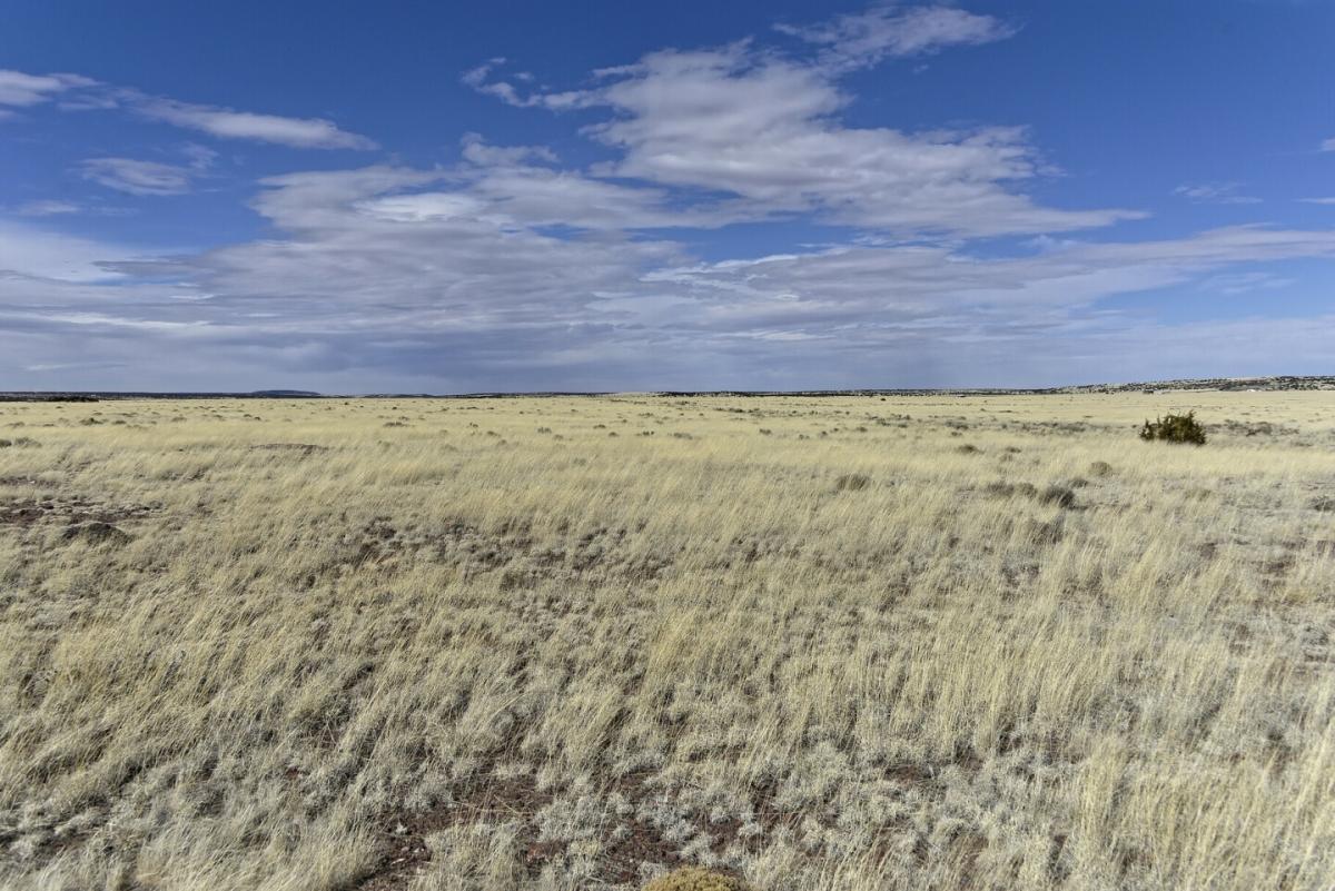 1.01 Acres for Sale in Vernon, Arizona