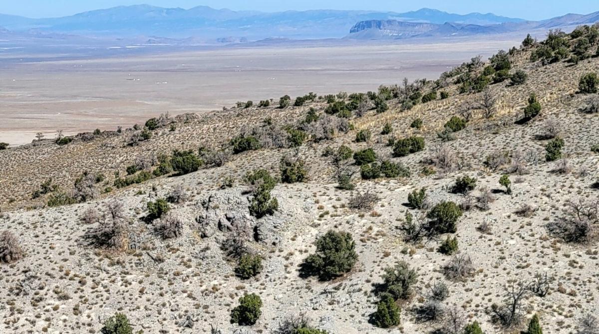 40 Acres for Sale in Montello, NV