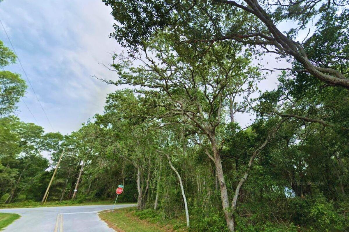 0.36 Acres for Sale in Ocklawaha, Florida