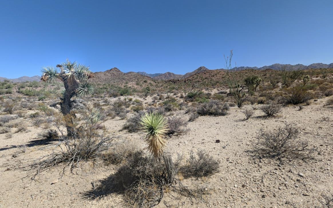 2.2 Acres for Sale in Yucca, AZ