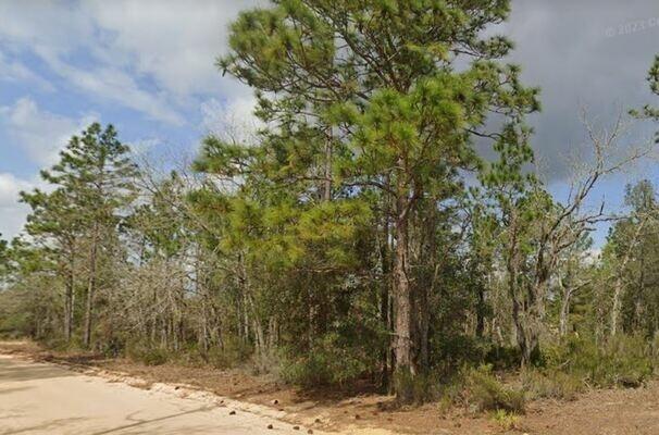 0.22 Acres for Sale in Interlachen, Florida