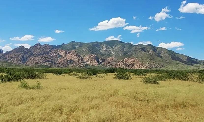 0.23 Acres for Sale in Douglas, Arizona