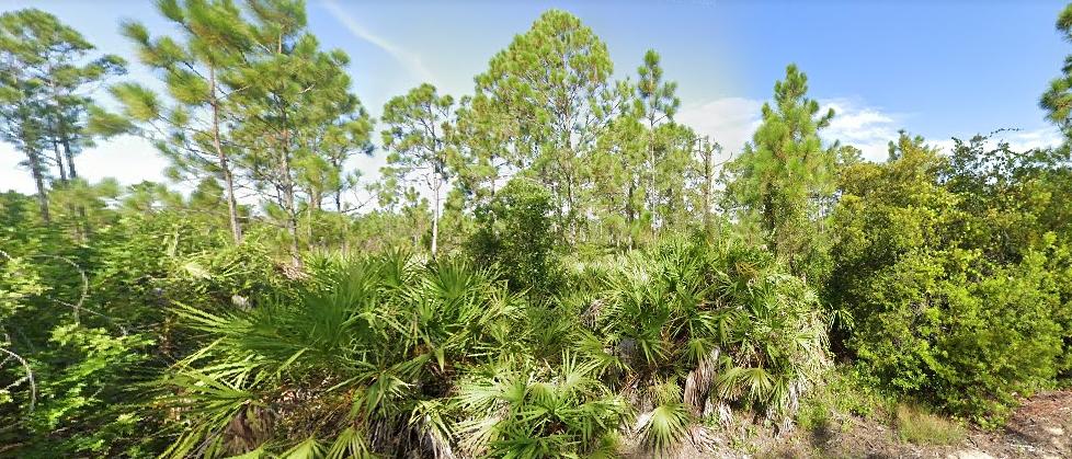 0.16 Acres for Sale in Punta Gorda, Florida