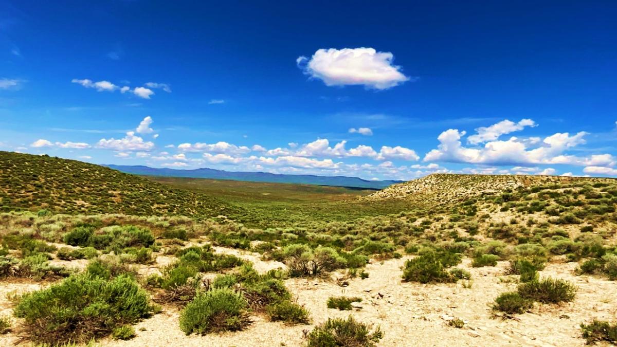 1.9 Acres for Sale in Montello, NV