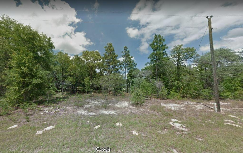 0.24 Acres for Sale in Citrus Springs, Florida