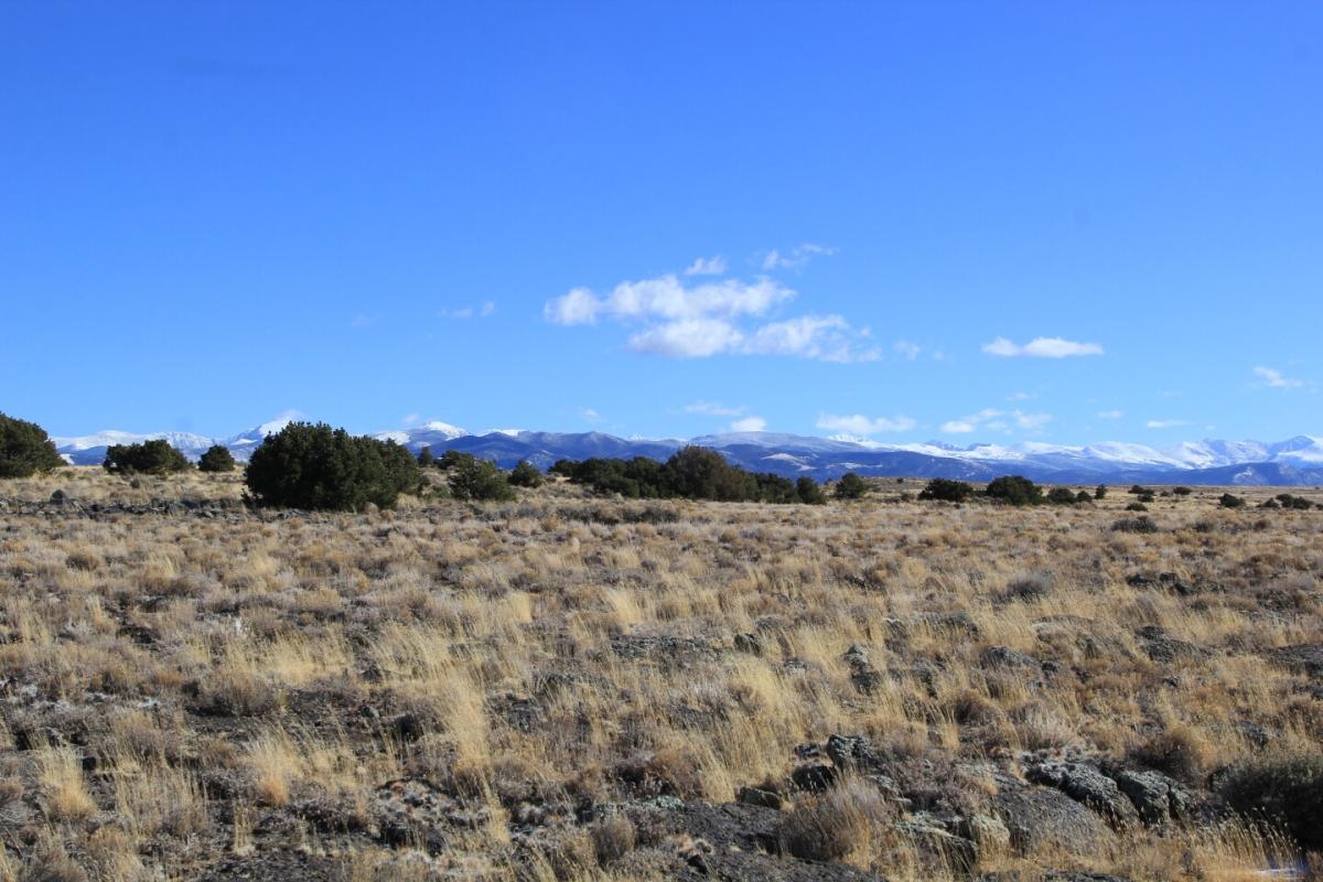 4.95 Acres for Sale in Blanca, Colorado