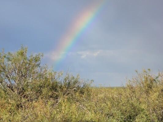 1 Acres for Sale in Deming, New Mexico