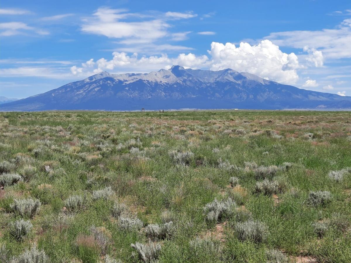 11.5 Acres for Sale in San Luis, Colorado