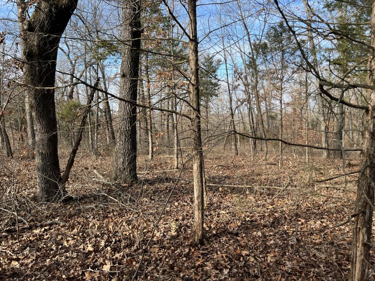 0.29 Acres for Sale in Horseshoe Bend, Arkansas