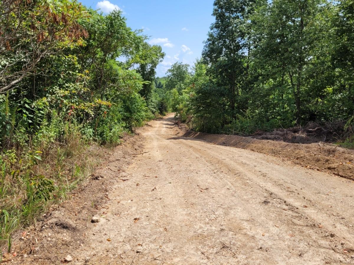 5 Acres for Sale in Linden, TN