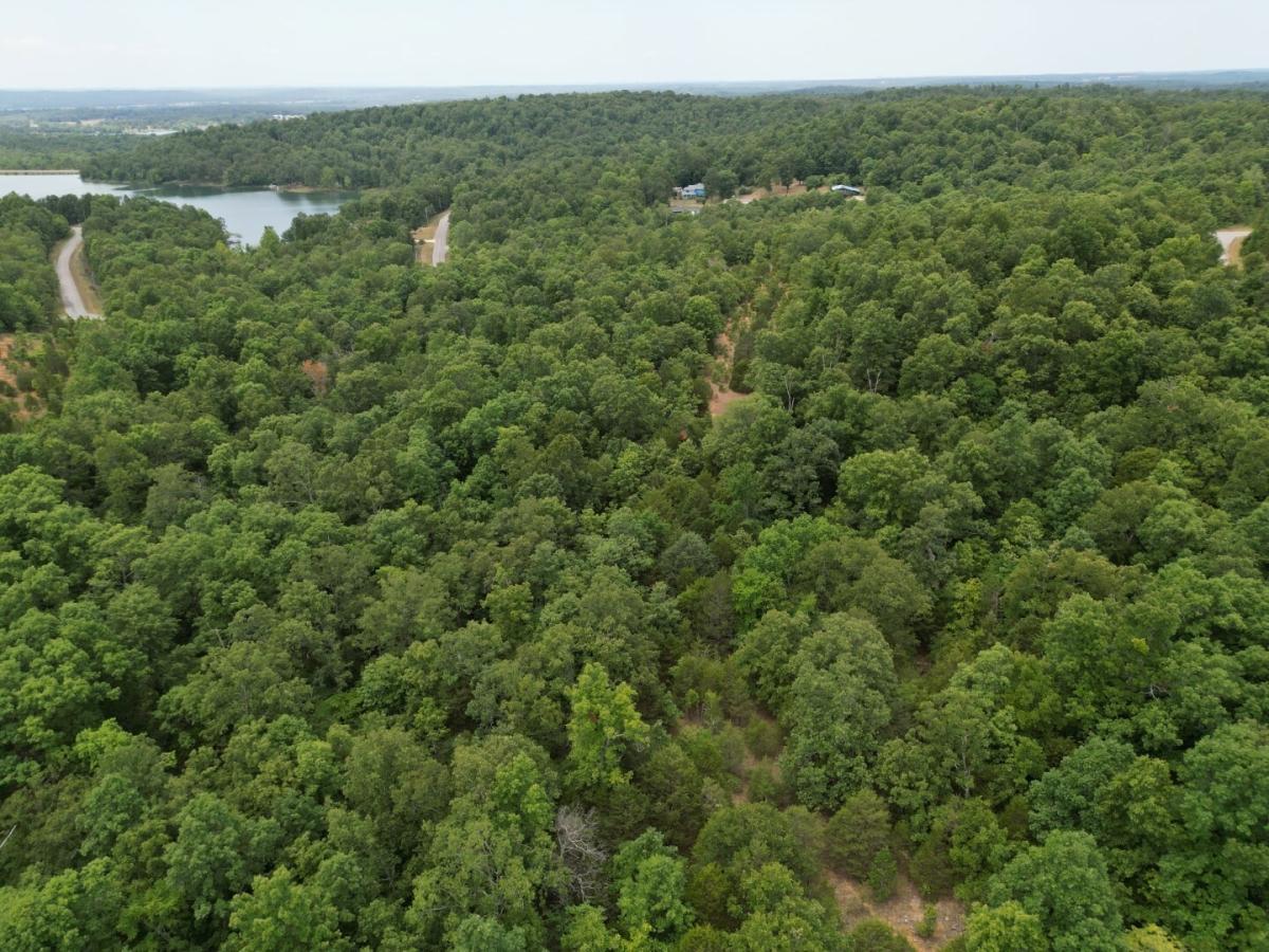 0.32 Acres for Sale in Horseshoe Bend, Arkansas
