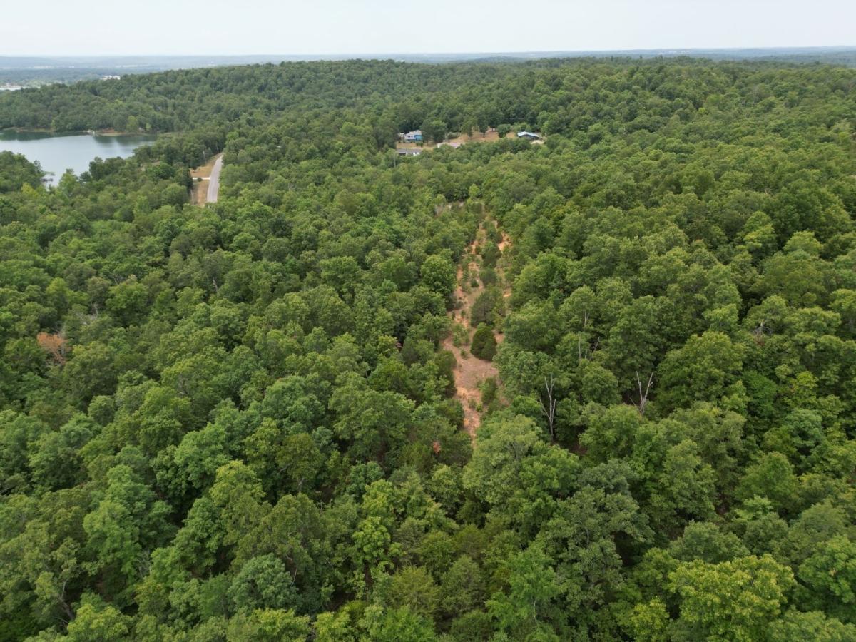 0.32 Acres for Sale in Horseshoe Bend, Arkansas