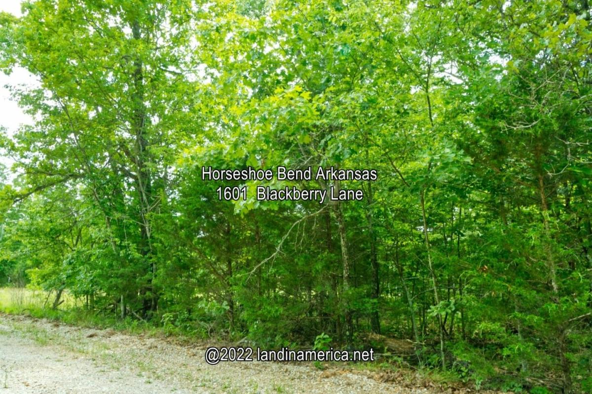 0.25 Acres for Sale in Horseshoe Bend, Arkansas
