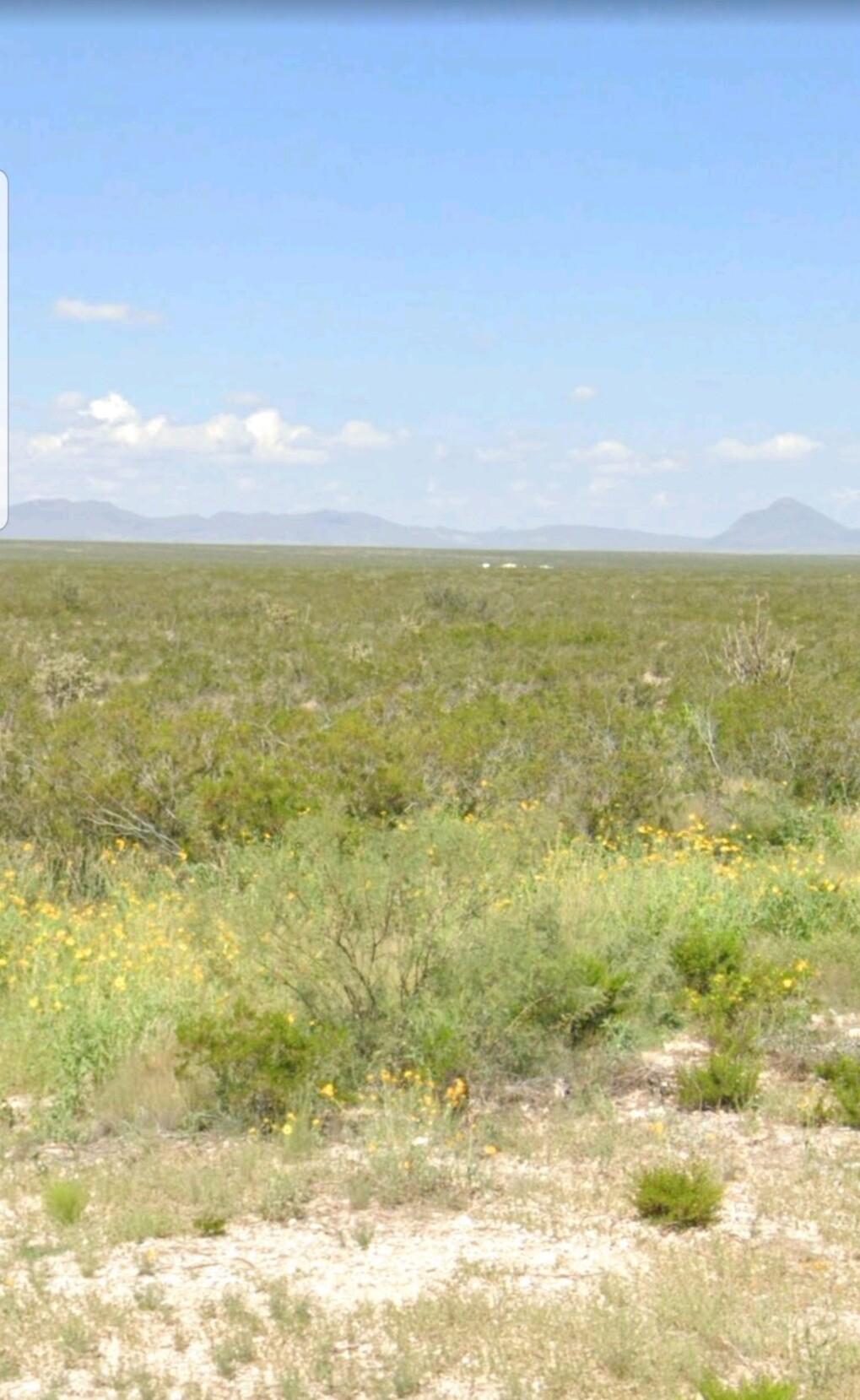 10 Acres for Sale in Dell City, Texas