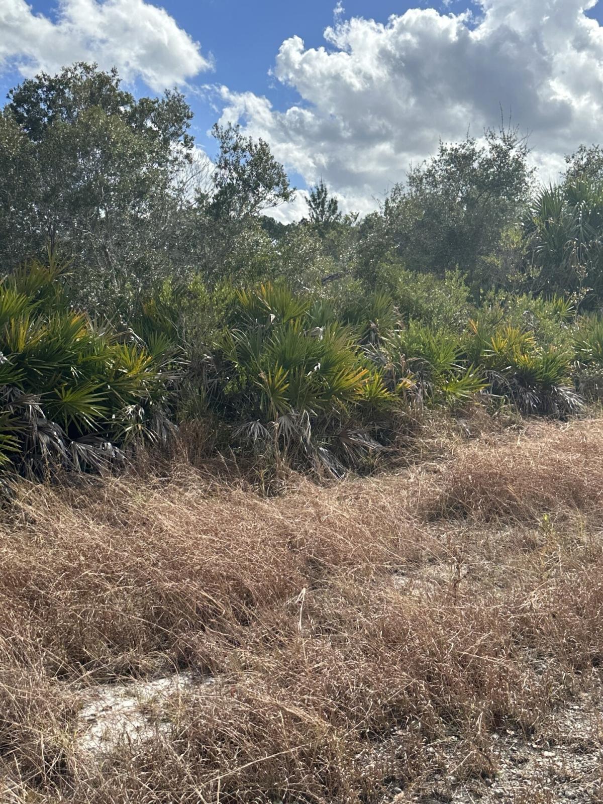 0.23 Acres for Sale in Lake Placid, Florida