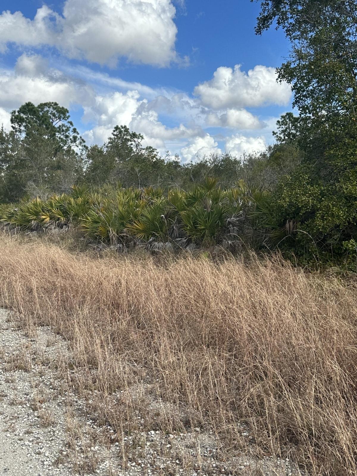 0.23 Acres for Sale in Lake Placid, Florida