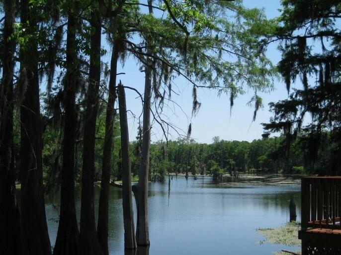 0.26 Acres for Sale in Cleveland, Texas