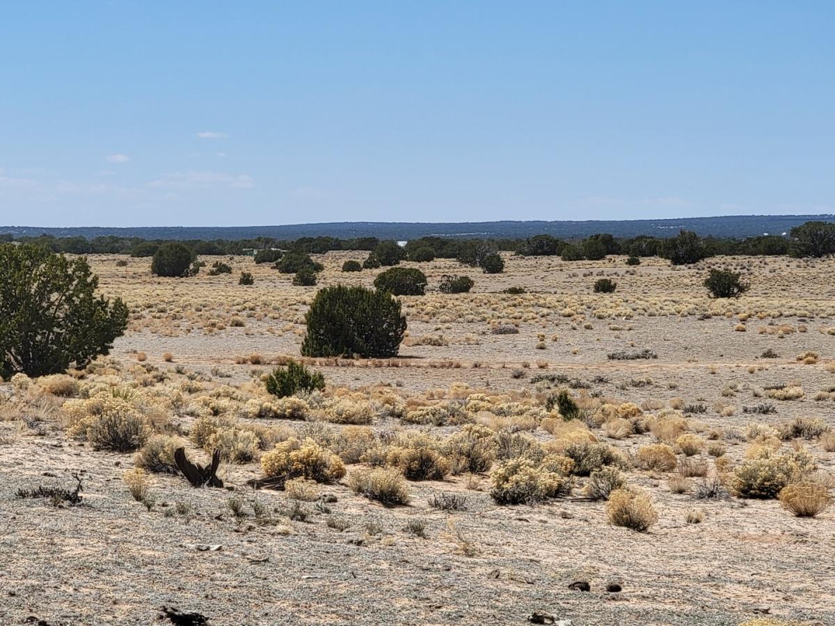 3.75 Acres for Sale in Saint Johns, Arizona