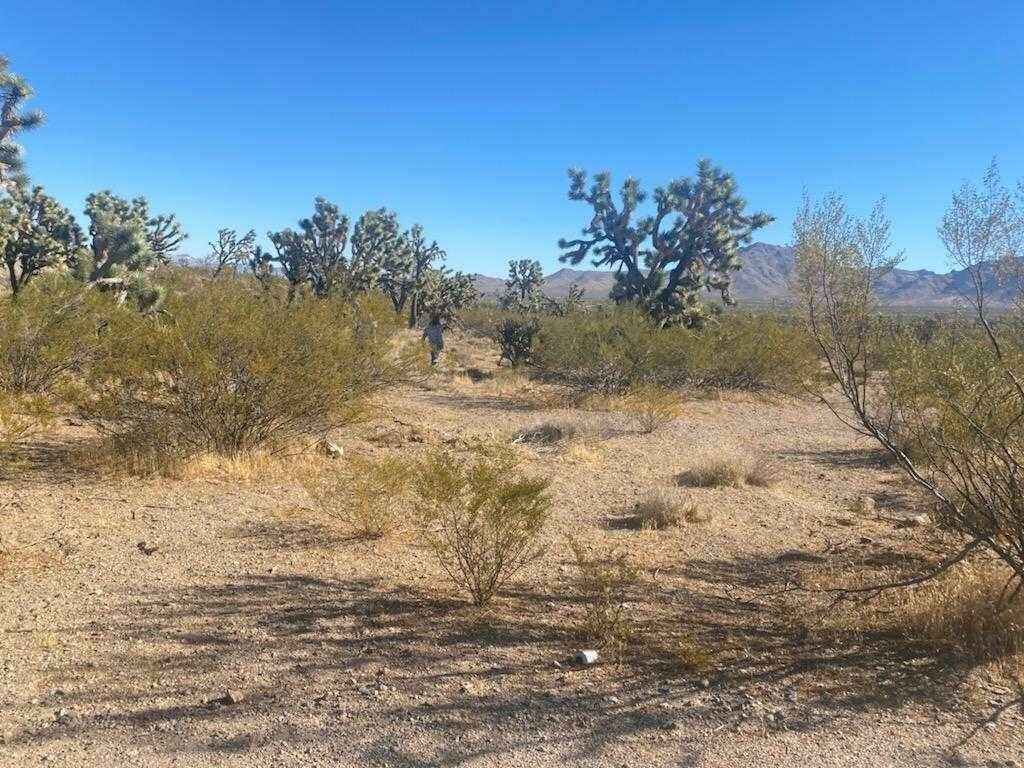2 Acres for Sale in Dolan Springs, Arizona