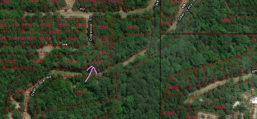 0.21 Acres for Sale in Avinger, Texas