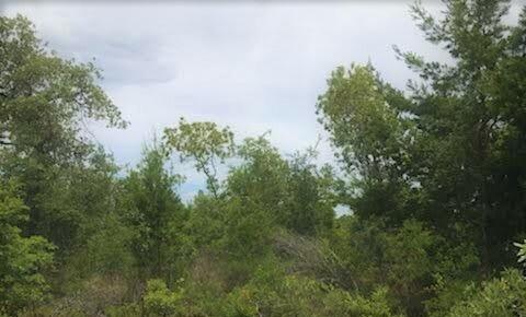 0.25 Acres for Sale in Chipley, Florida