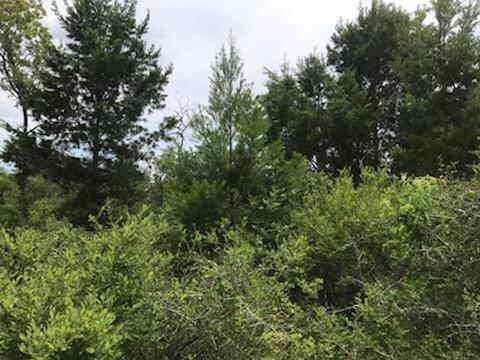 0.27 Acres for Sale in Chipley, Florida